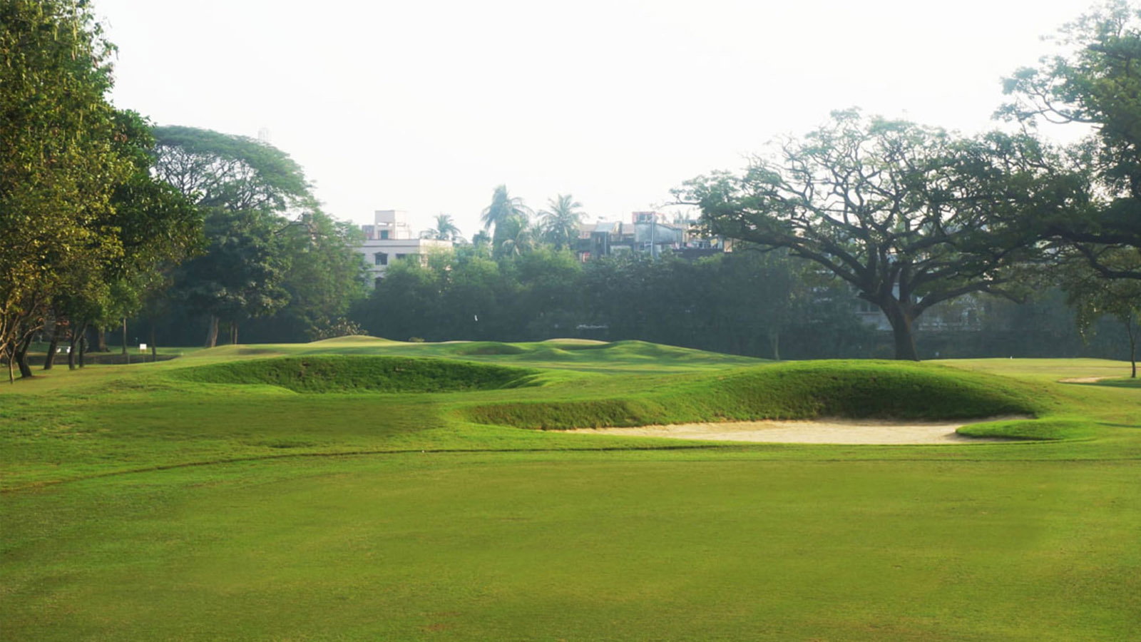 Courtesy Royal Calcutta Golf Club