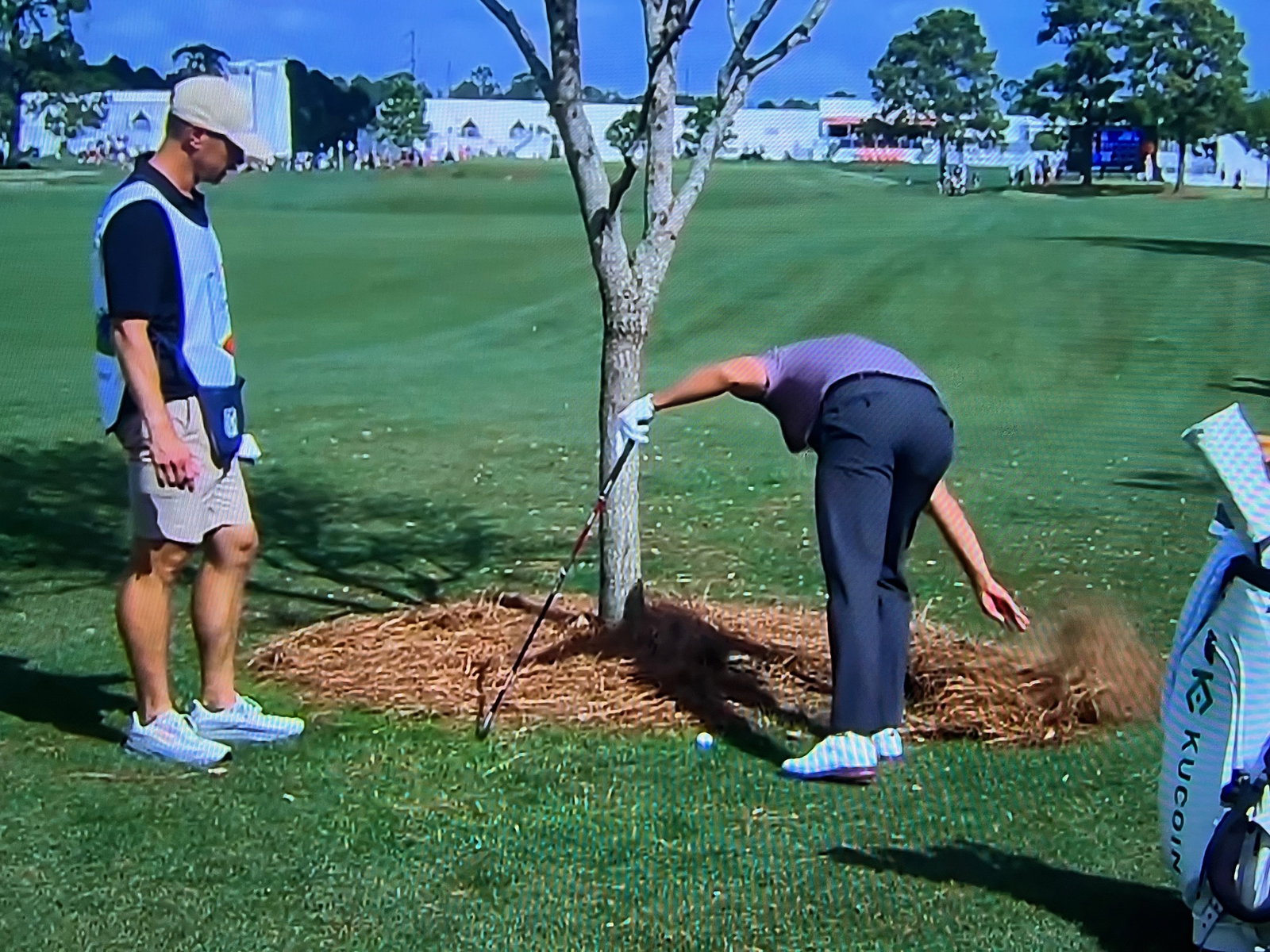 Scott moves pine straw out the way