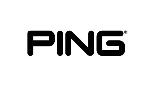 Ping Logo
