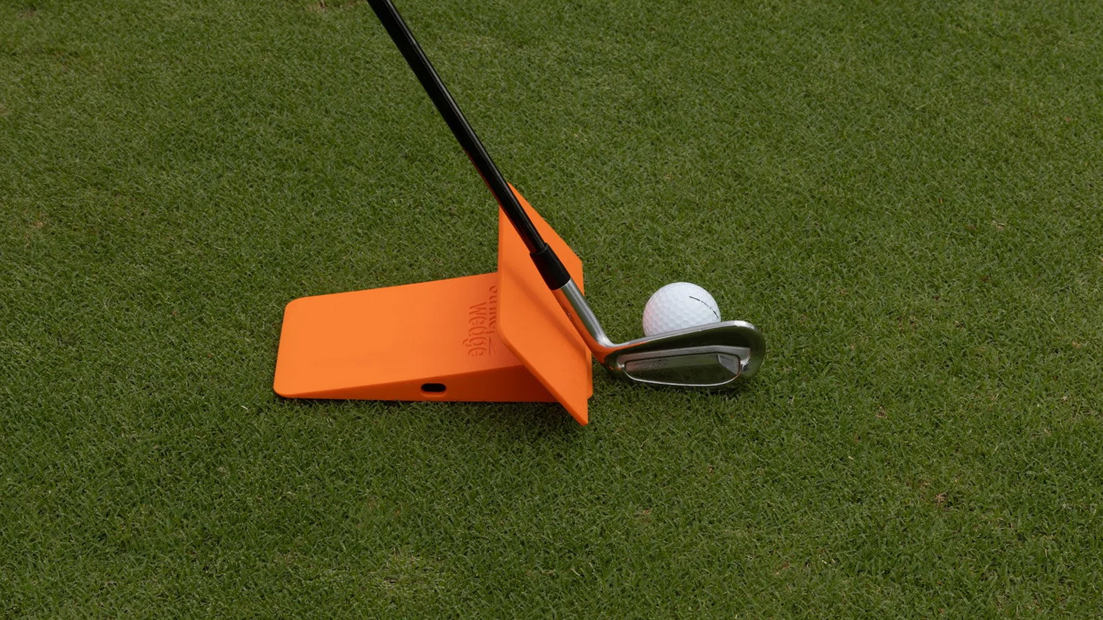 Courtesy Strike Wedge
