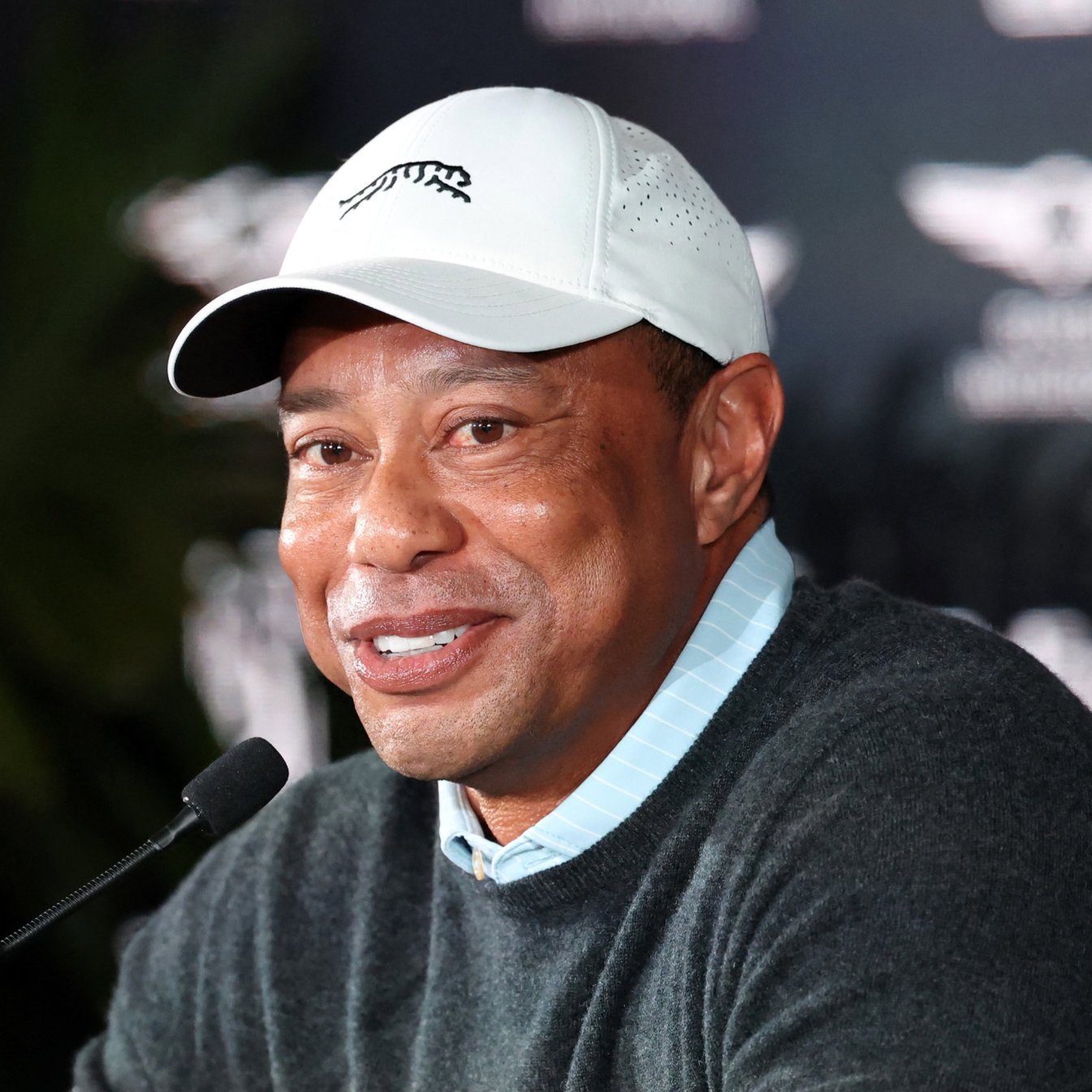 Tiger Woods 