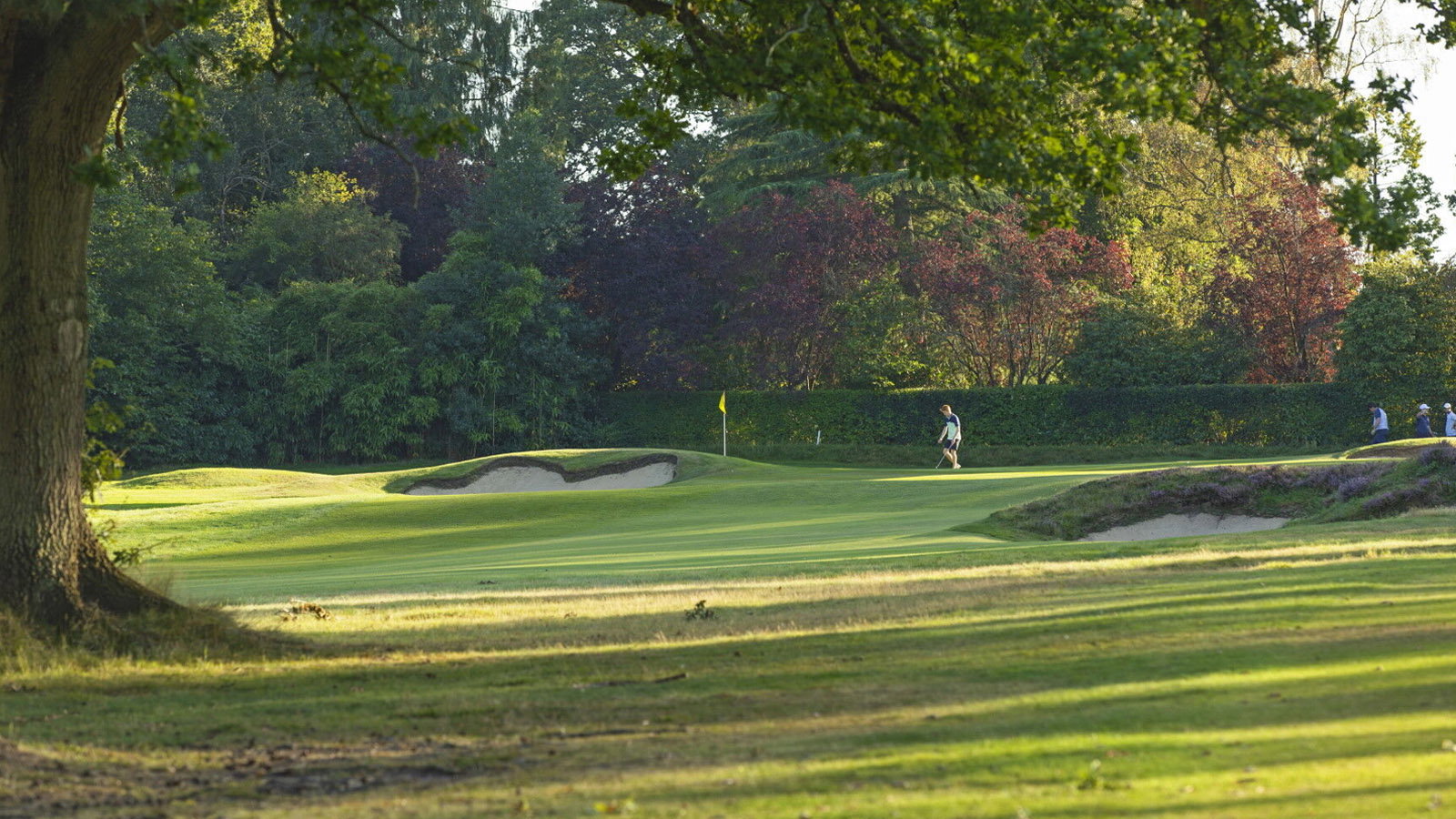 Courtesy Worplesdon Golf Club
