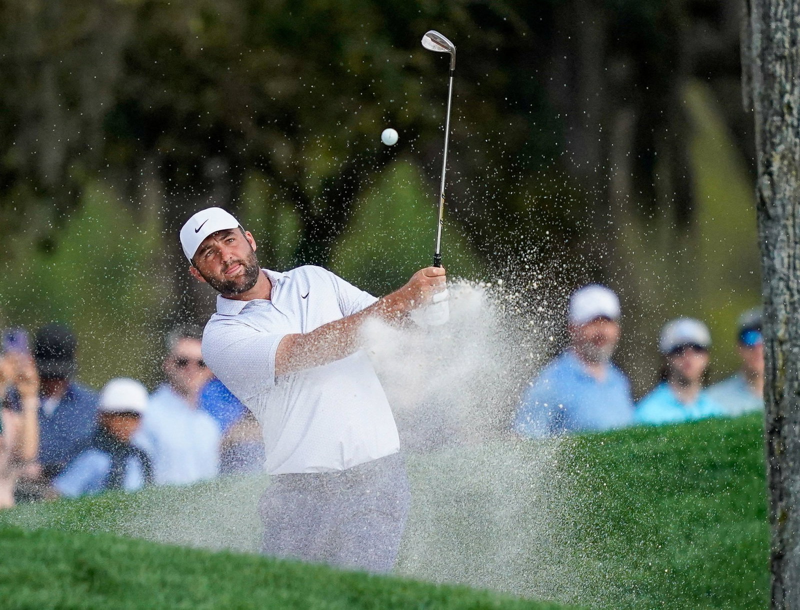 Scheffler is going for a third green jacket