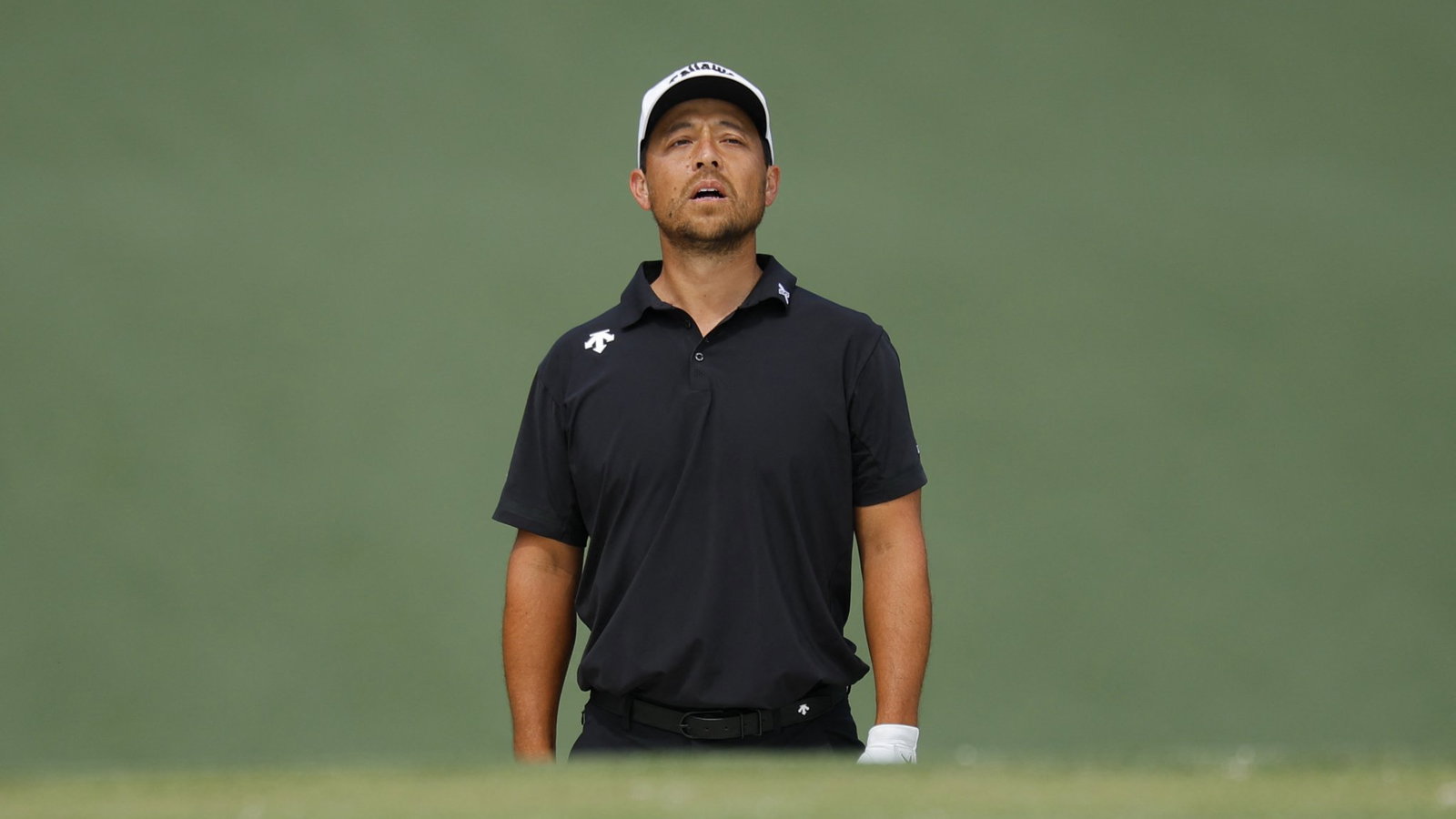 Xander Schauffele 