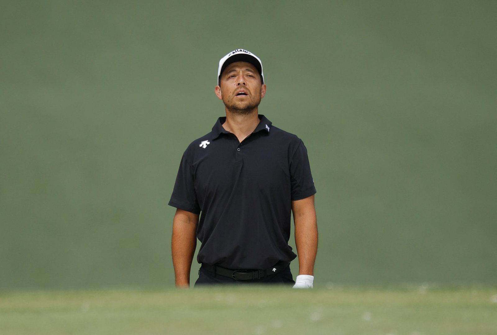 Xander Schauffele 