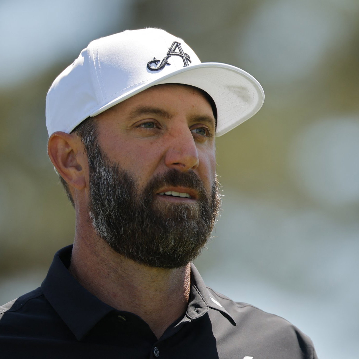 Dustin Johnson 