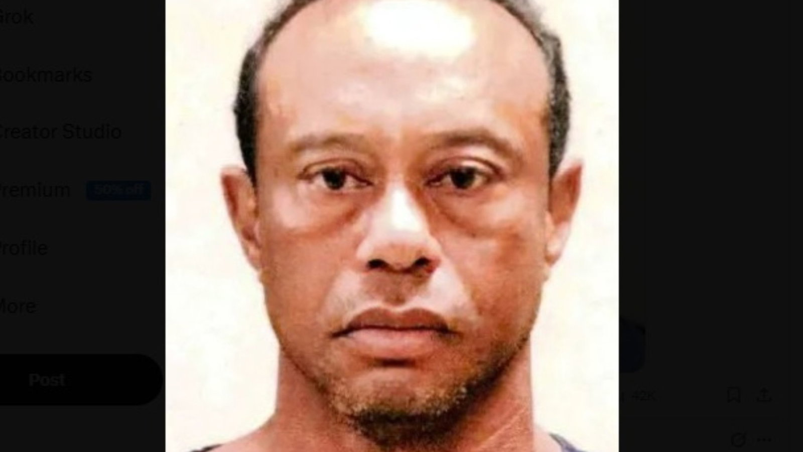New mugshot of Tiger Woods has released