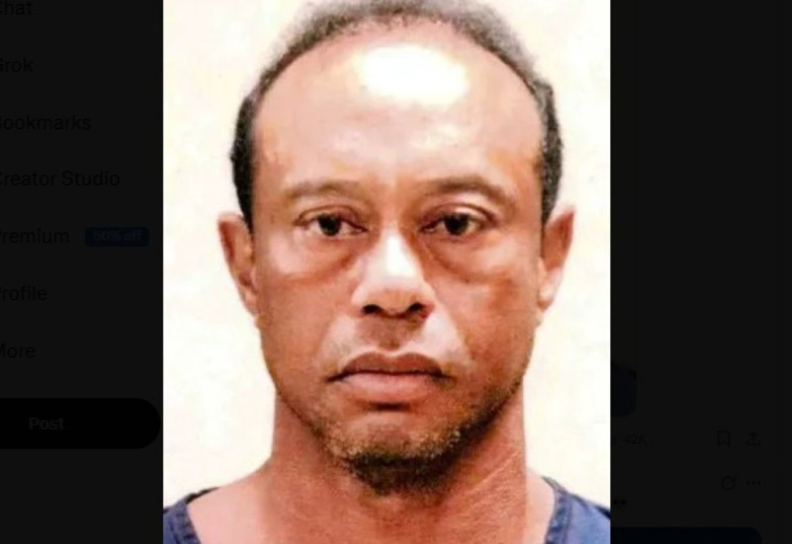 New mugshot of Tiger Woods has released