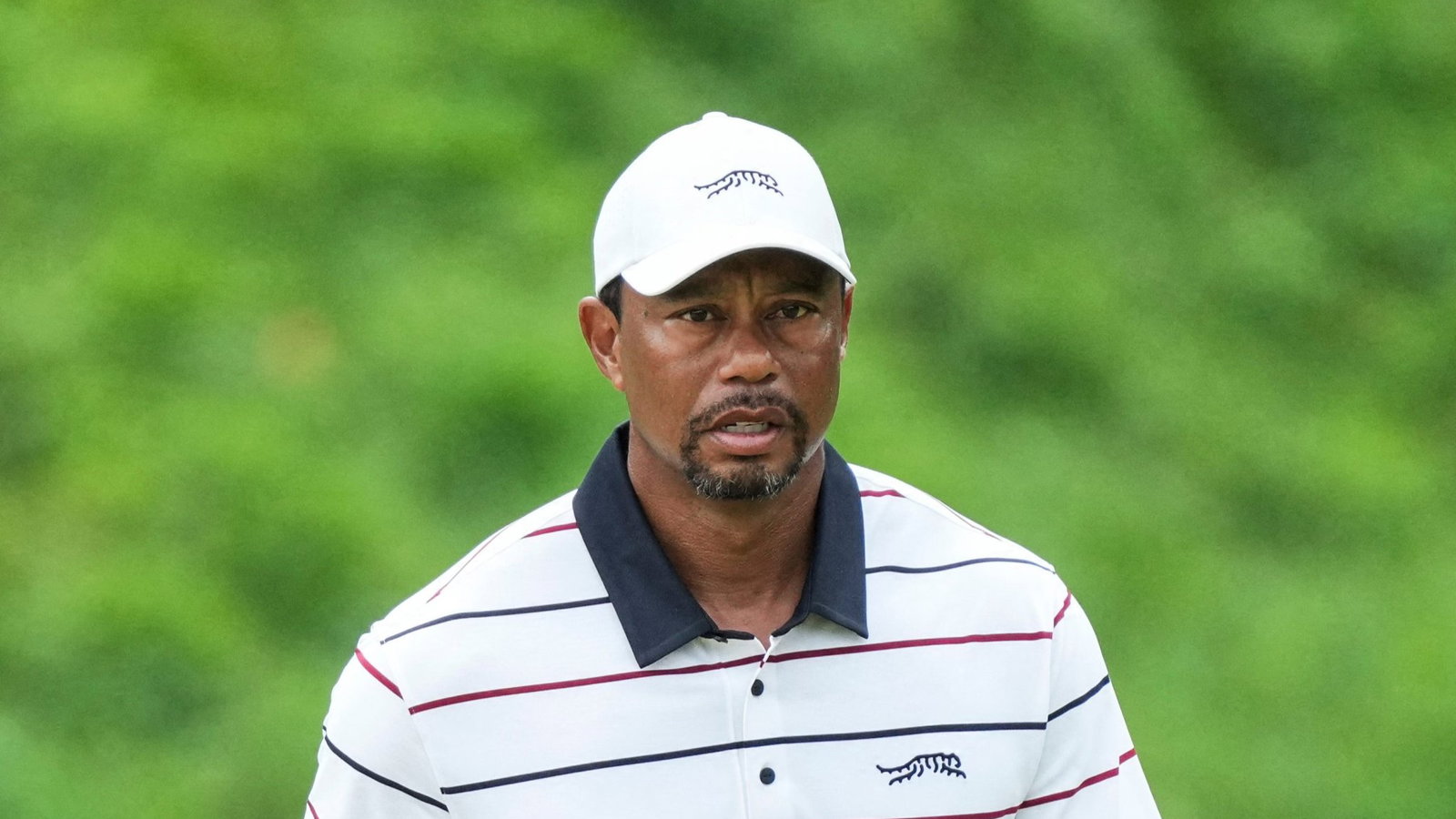 Tiger Woods