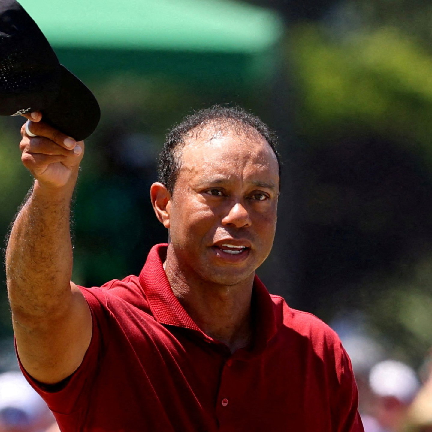 Tiger Woods