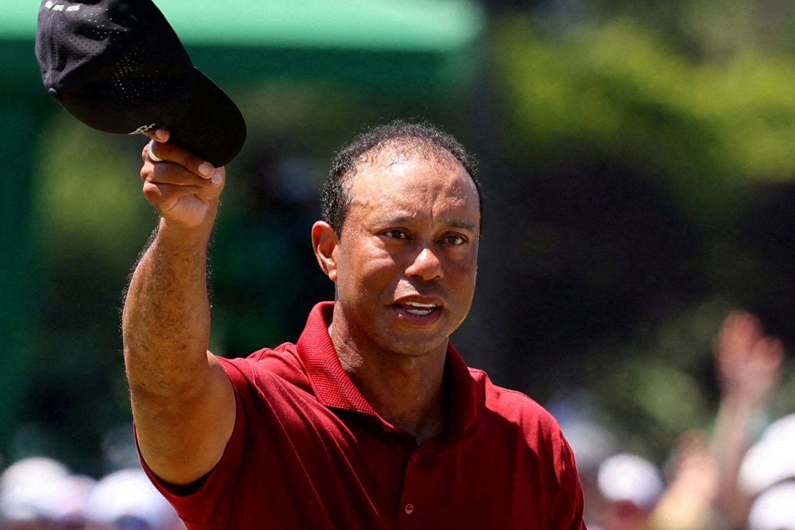 Tiger Woods