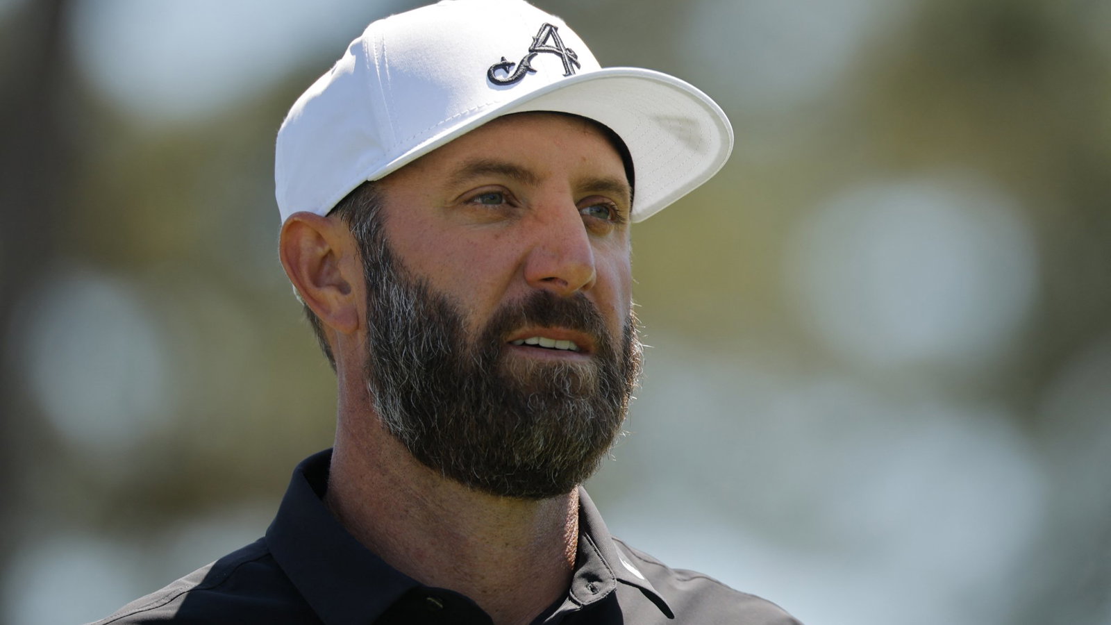 Dustin Johnson 