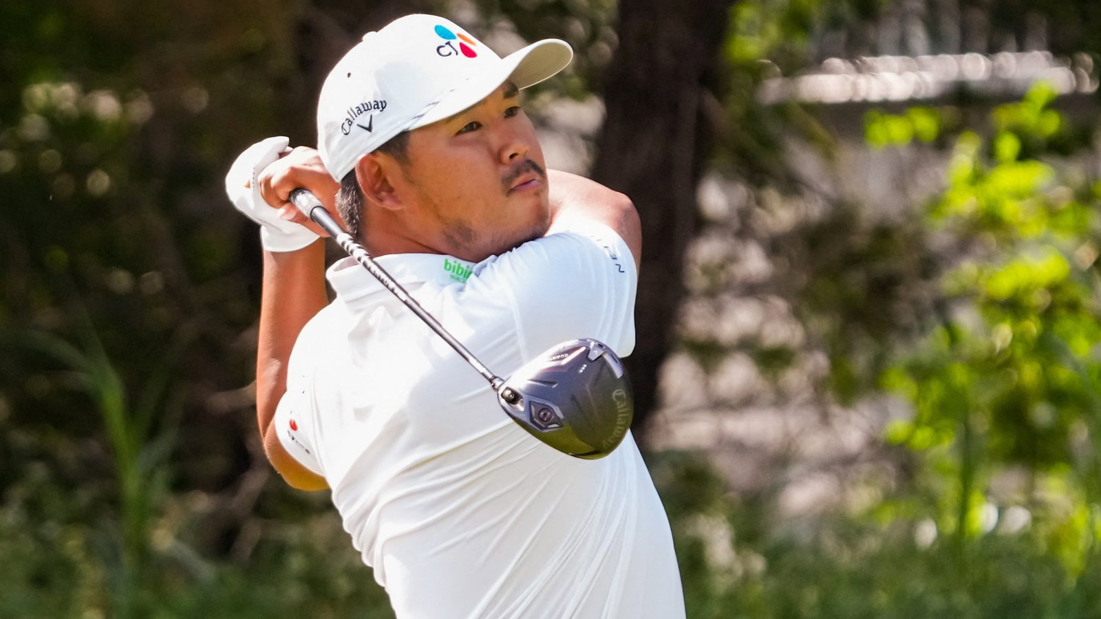 Si Woo Kim