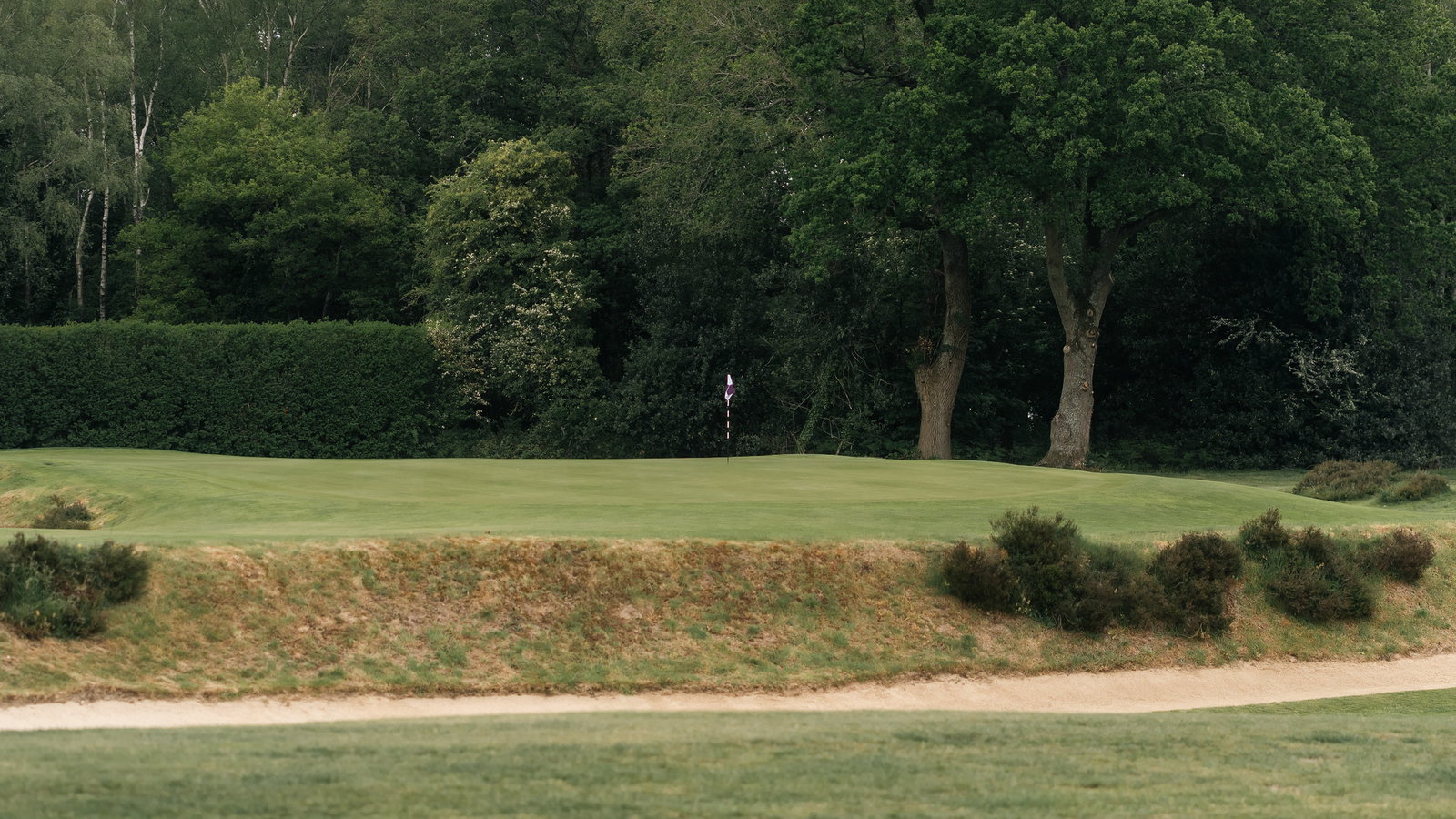 The Walton Heath Trophy will take place on the rolling heathland of Walton Heath's Old and New Courses. Image: Sam Jones
