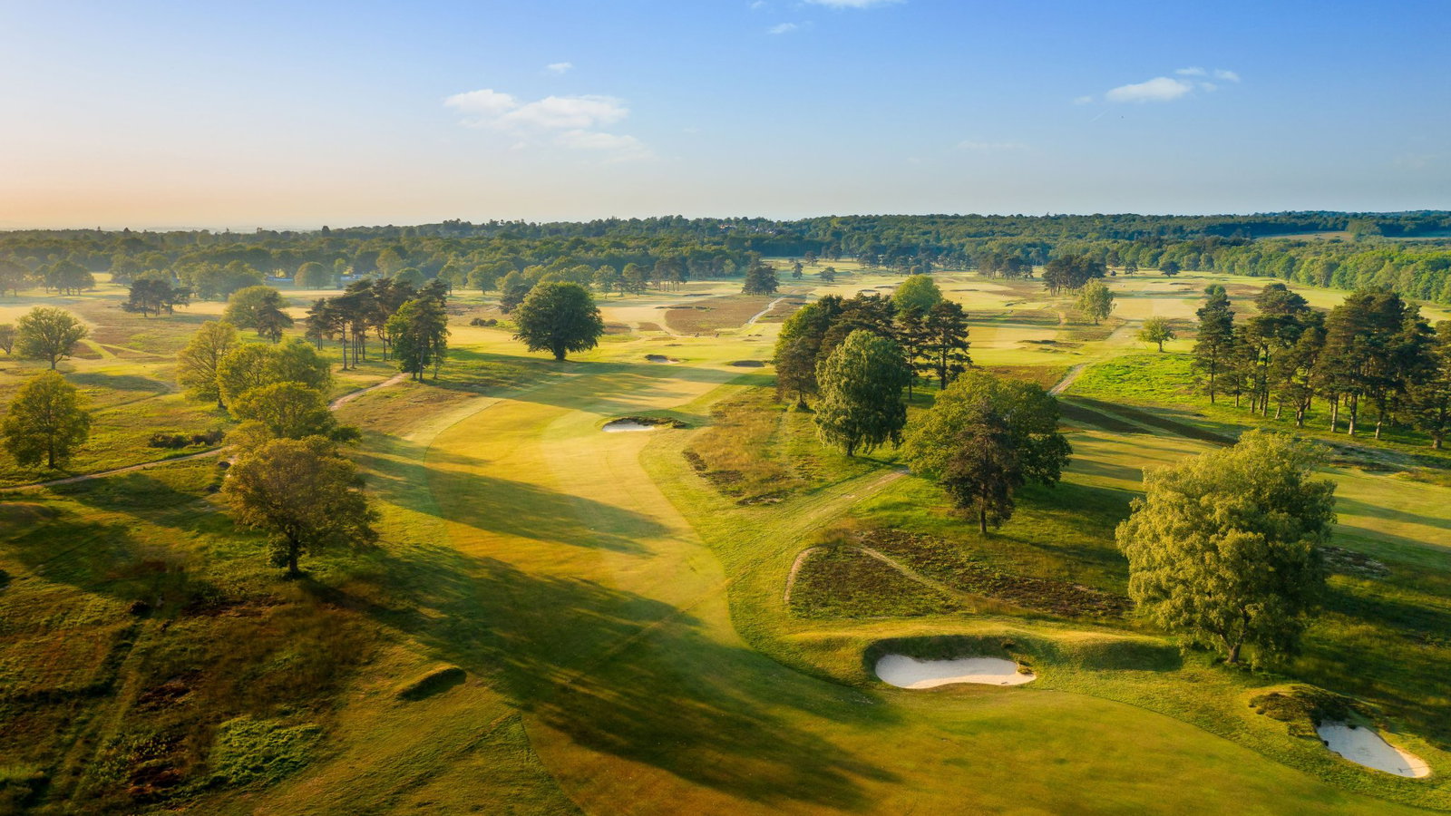 Walton Heath (courtesy of GEO Foundation)
