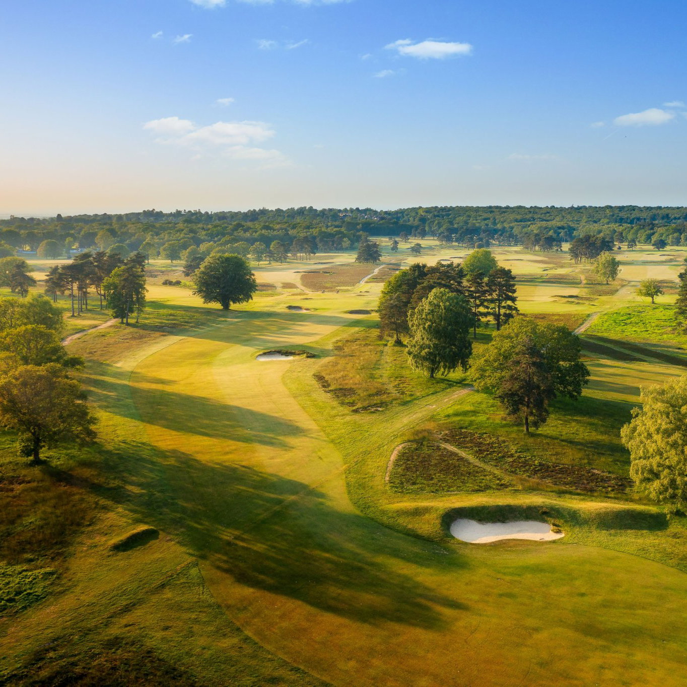 Walton Heath (courtesy of GEO Foundation)