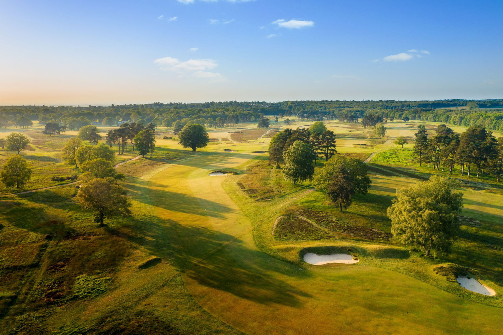 Walton Heath (courtesy of GEO Foundation) 
