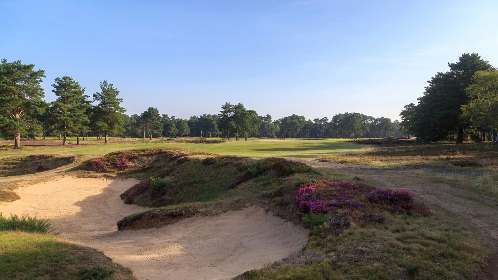 Woodhall Spa's Hotchkin Course. Courtesy Woodhall Spa