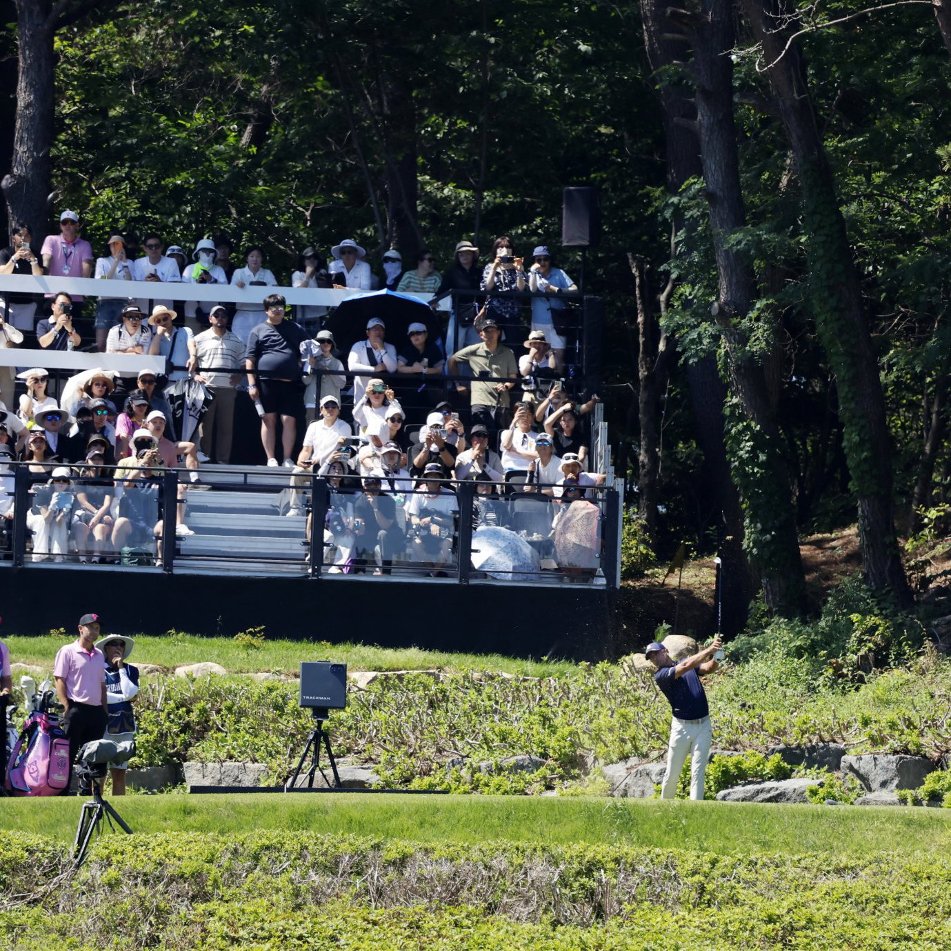 LIV Golf 