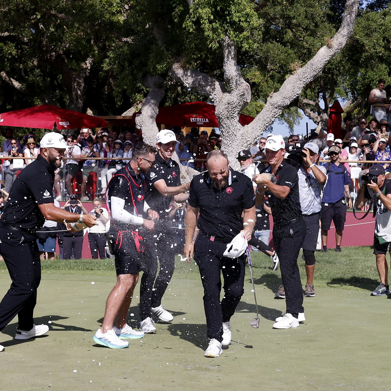 Tyrrell Hatton