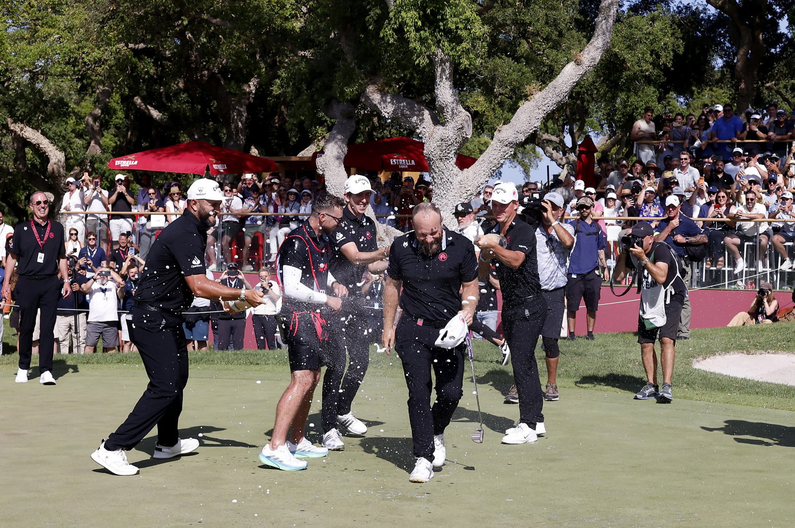 Tyrrell Hatton