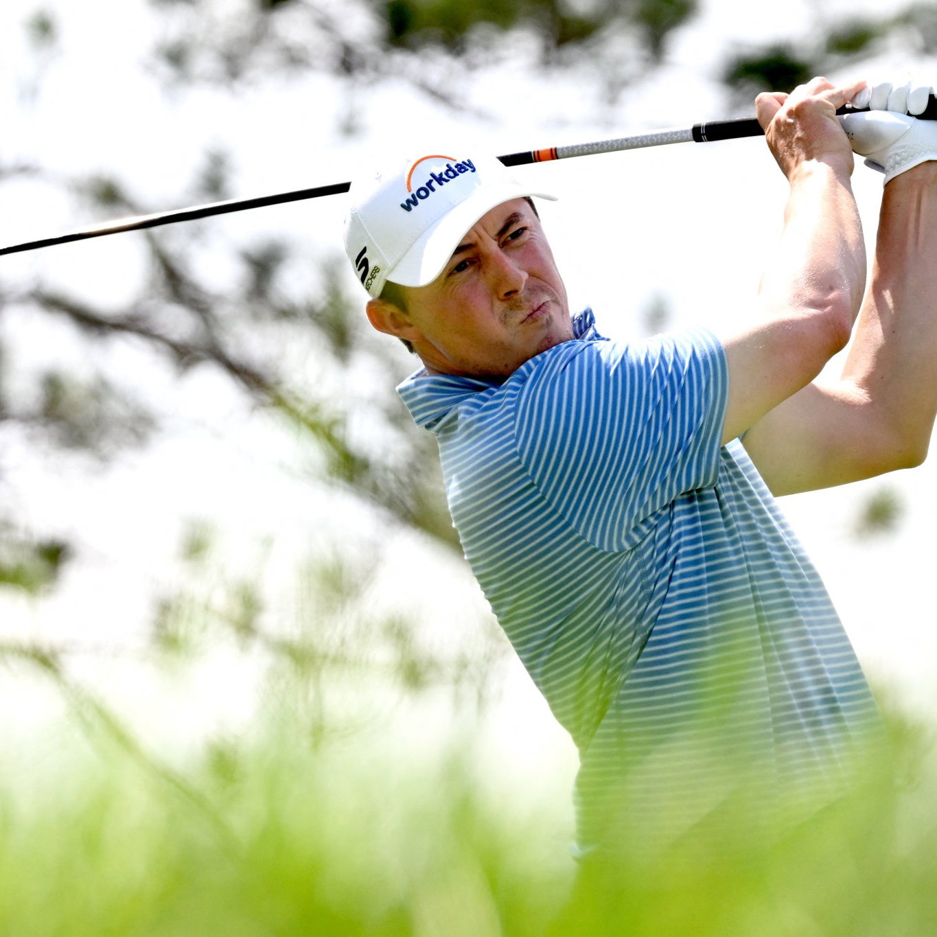Matt Fitzpatrick 