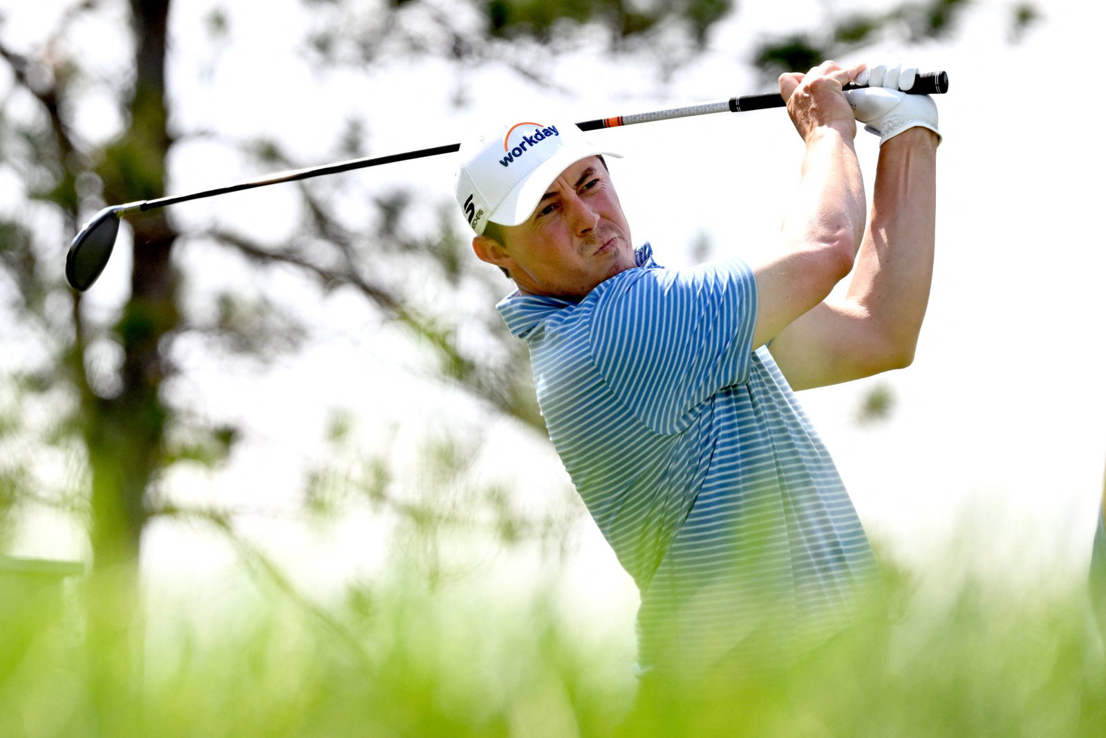 Matthew Fitzpatrick
