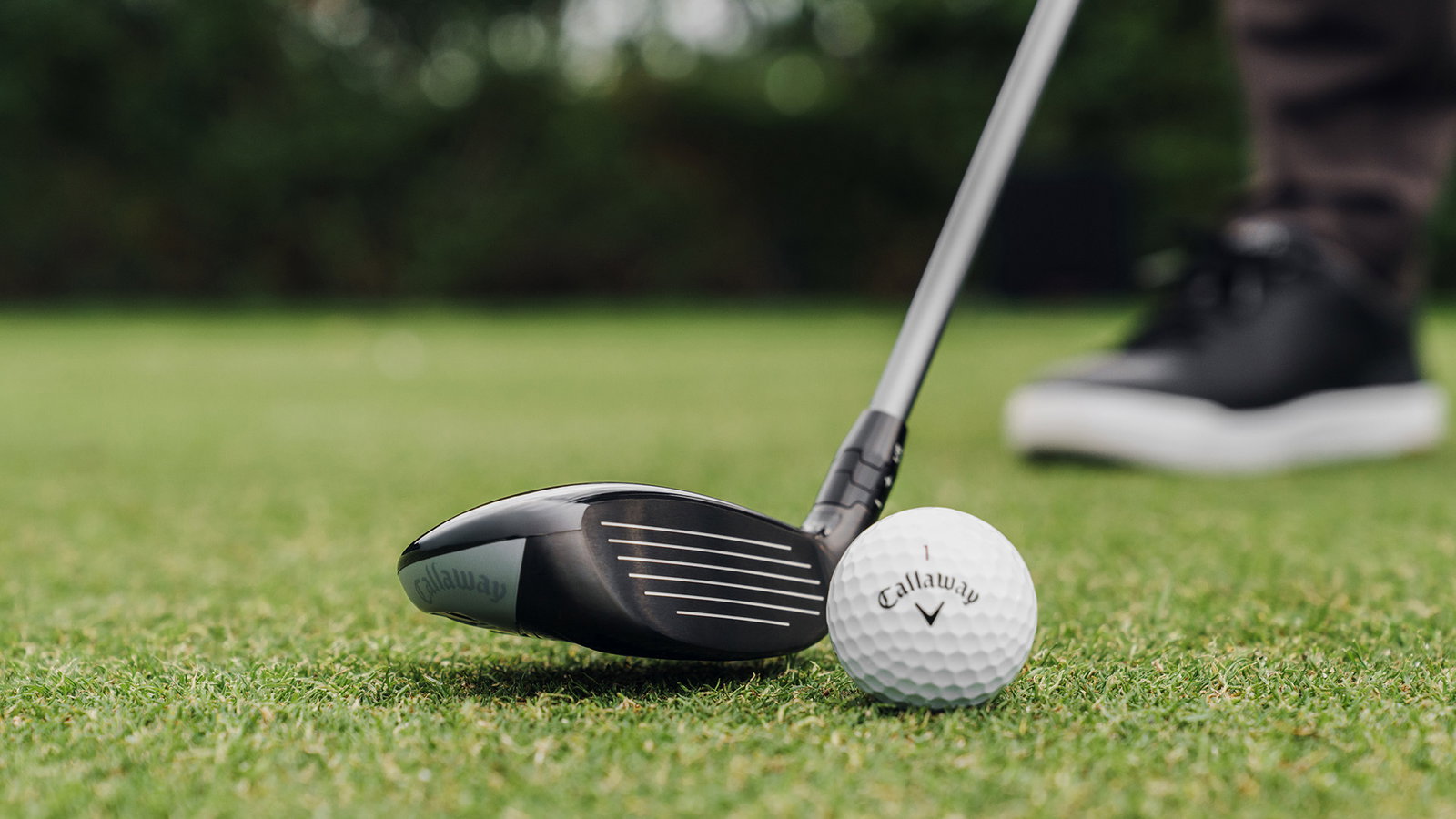 Courtesy Callaway Golf