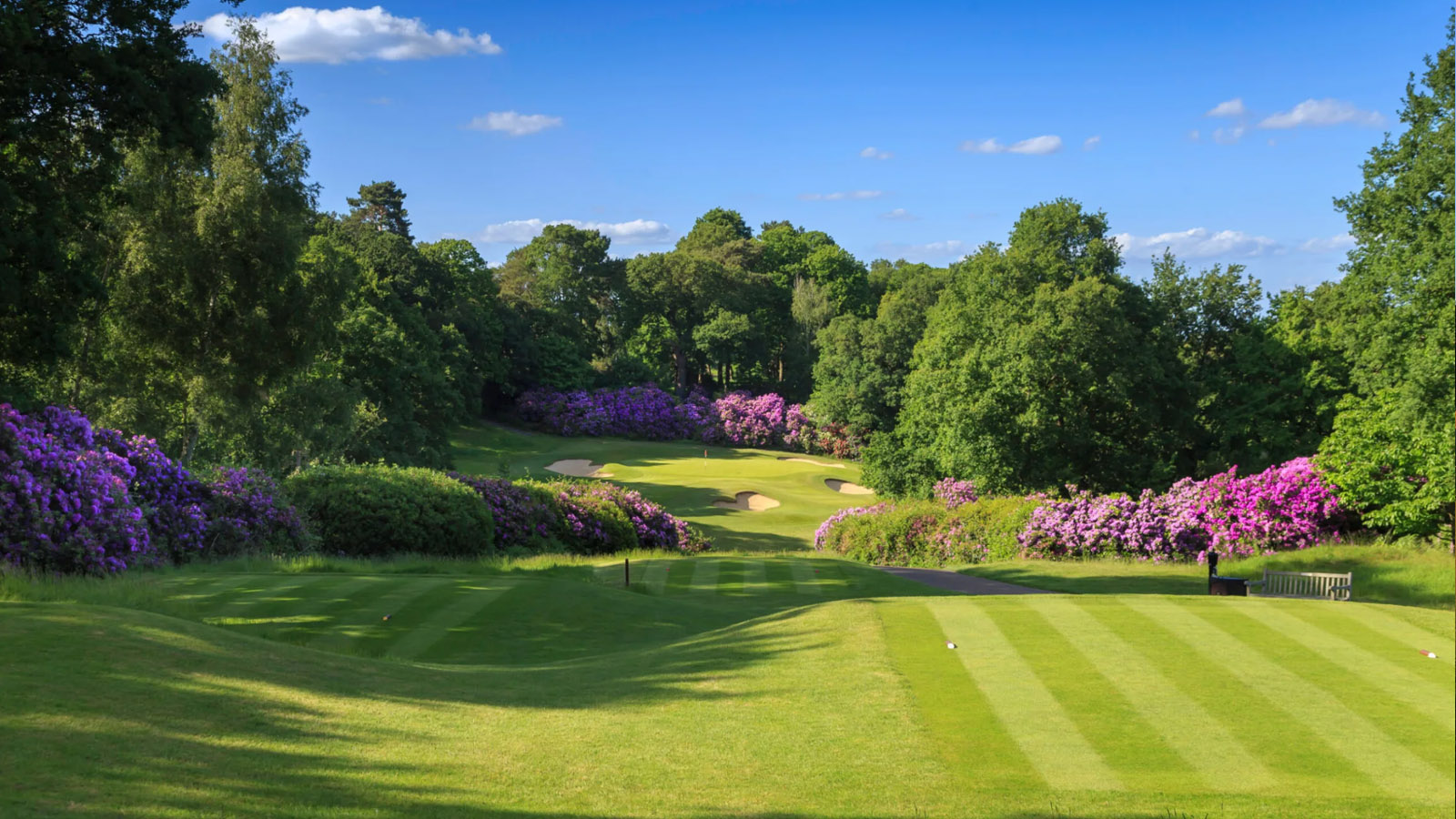 Courtesy Coombe Hill Golf Club