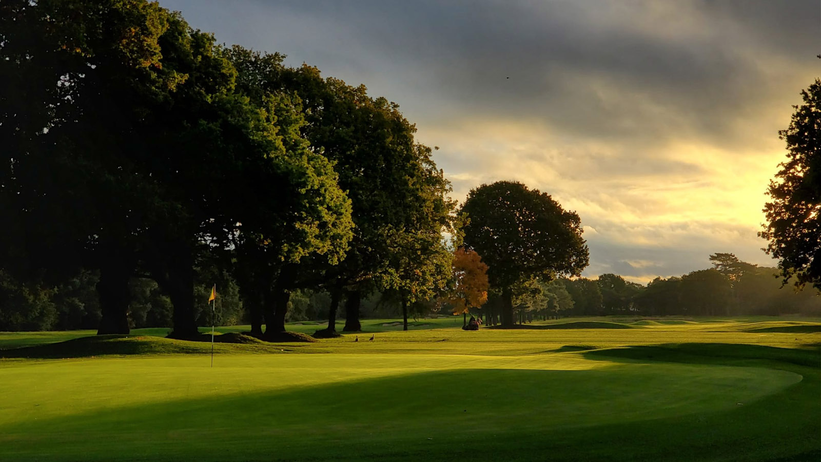 Courtesy Fulwell Golf Club