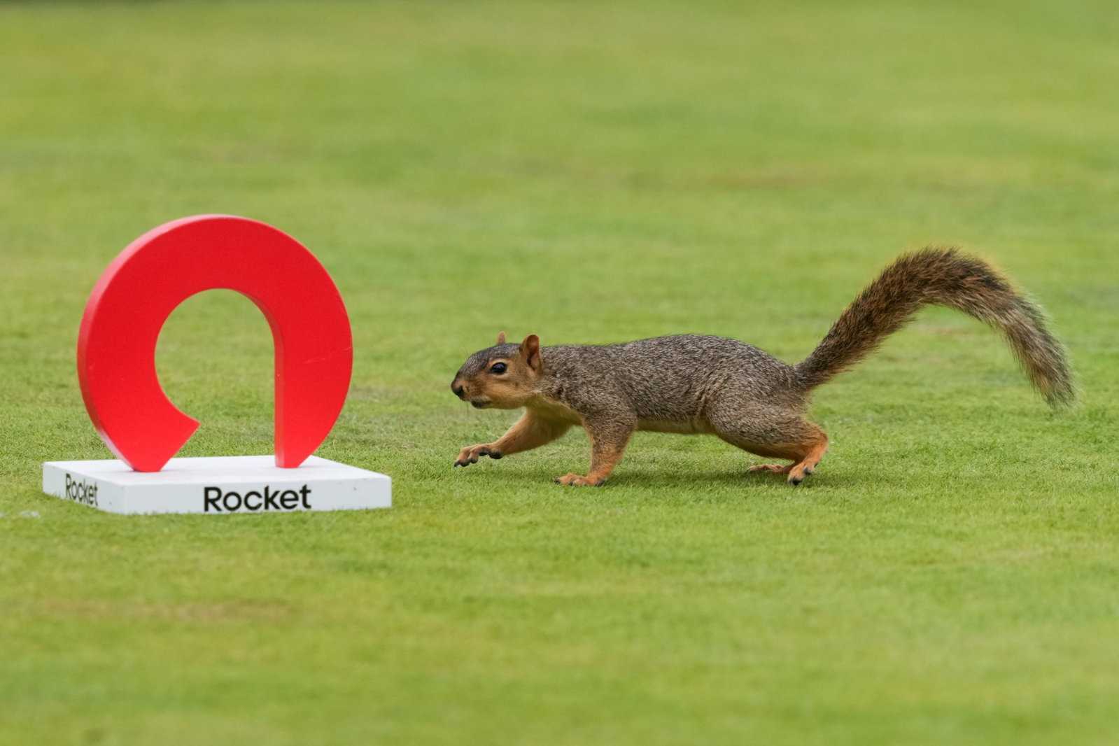 Third Round Tee Times at the Rocket Classic