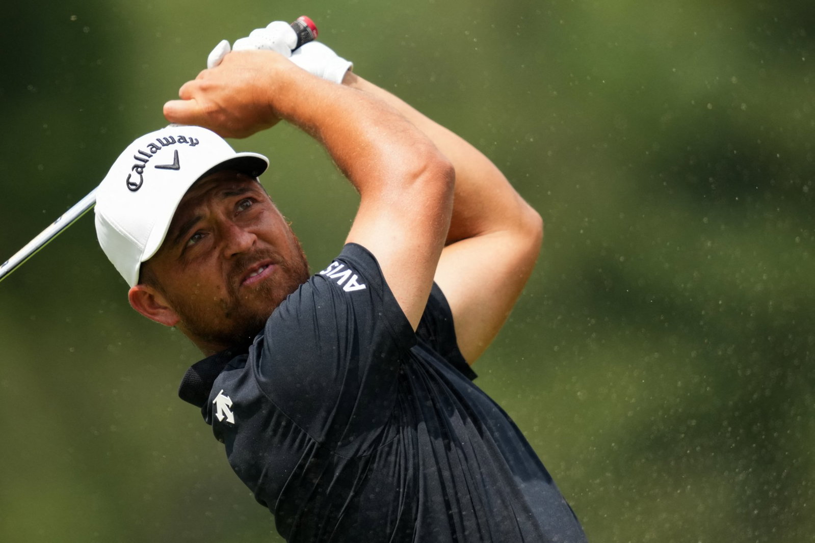 Xander Schauffele 