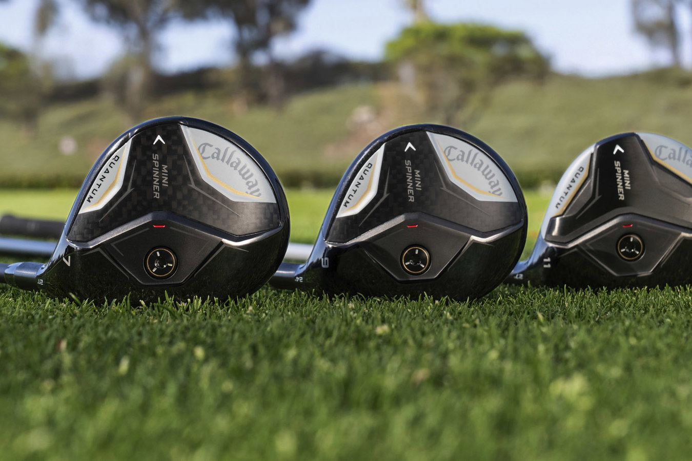 Courtesy Callaway