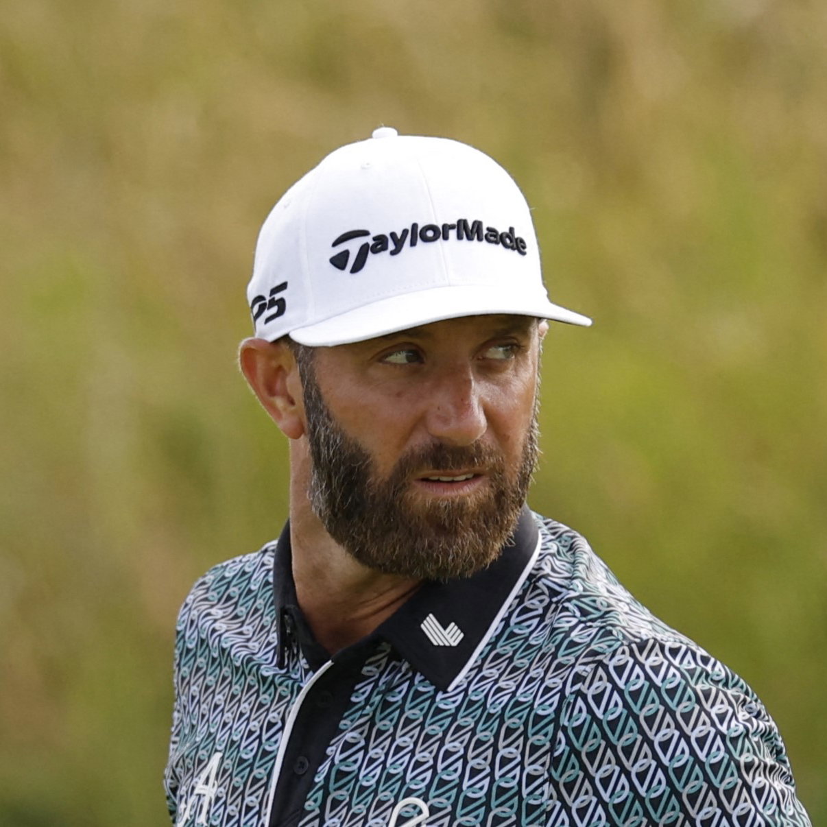 Dustin Johnson