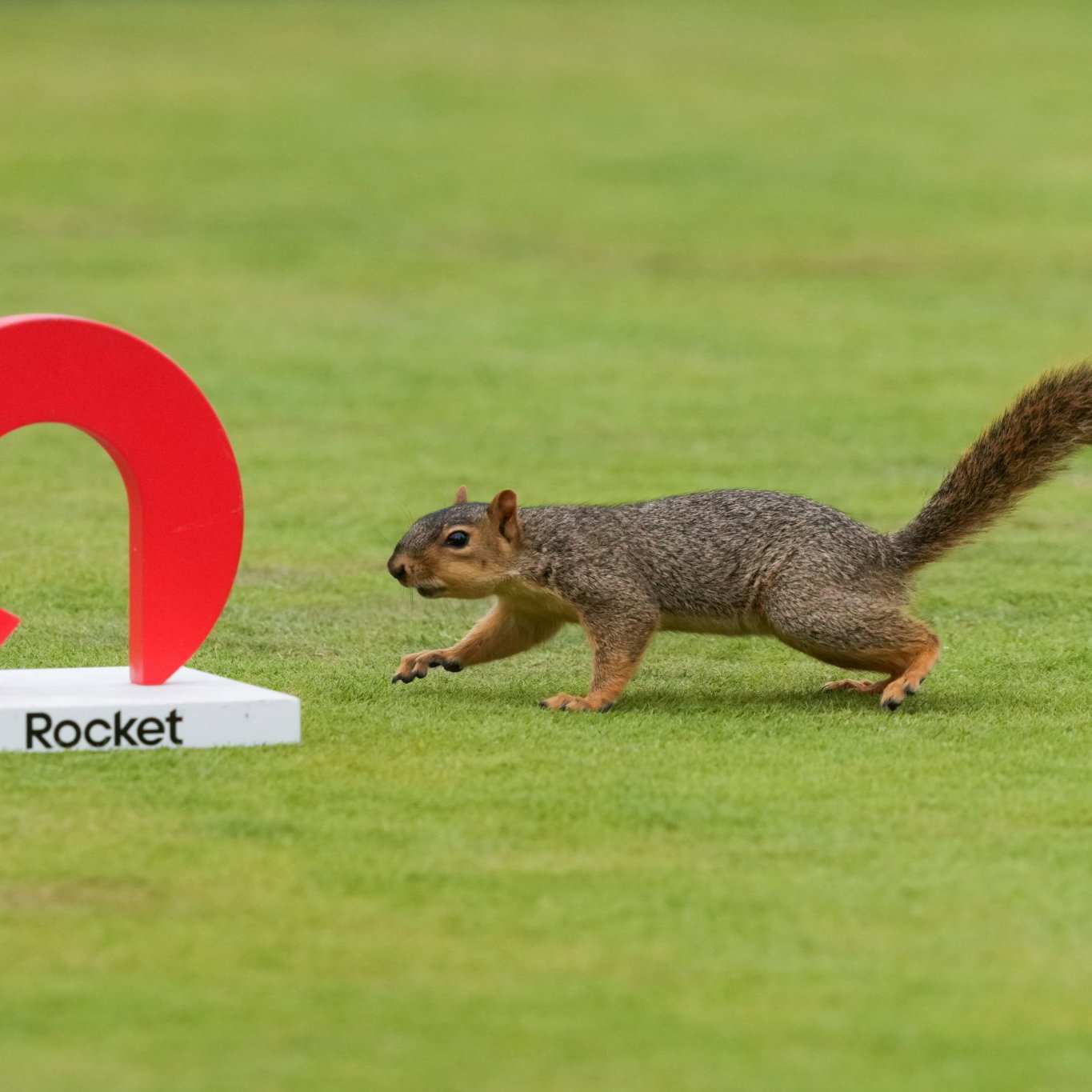 Rocket Classic at Detroit Golf Club