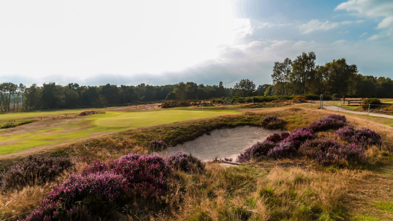 Courtesy Sutton Coldfield Golf Club