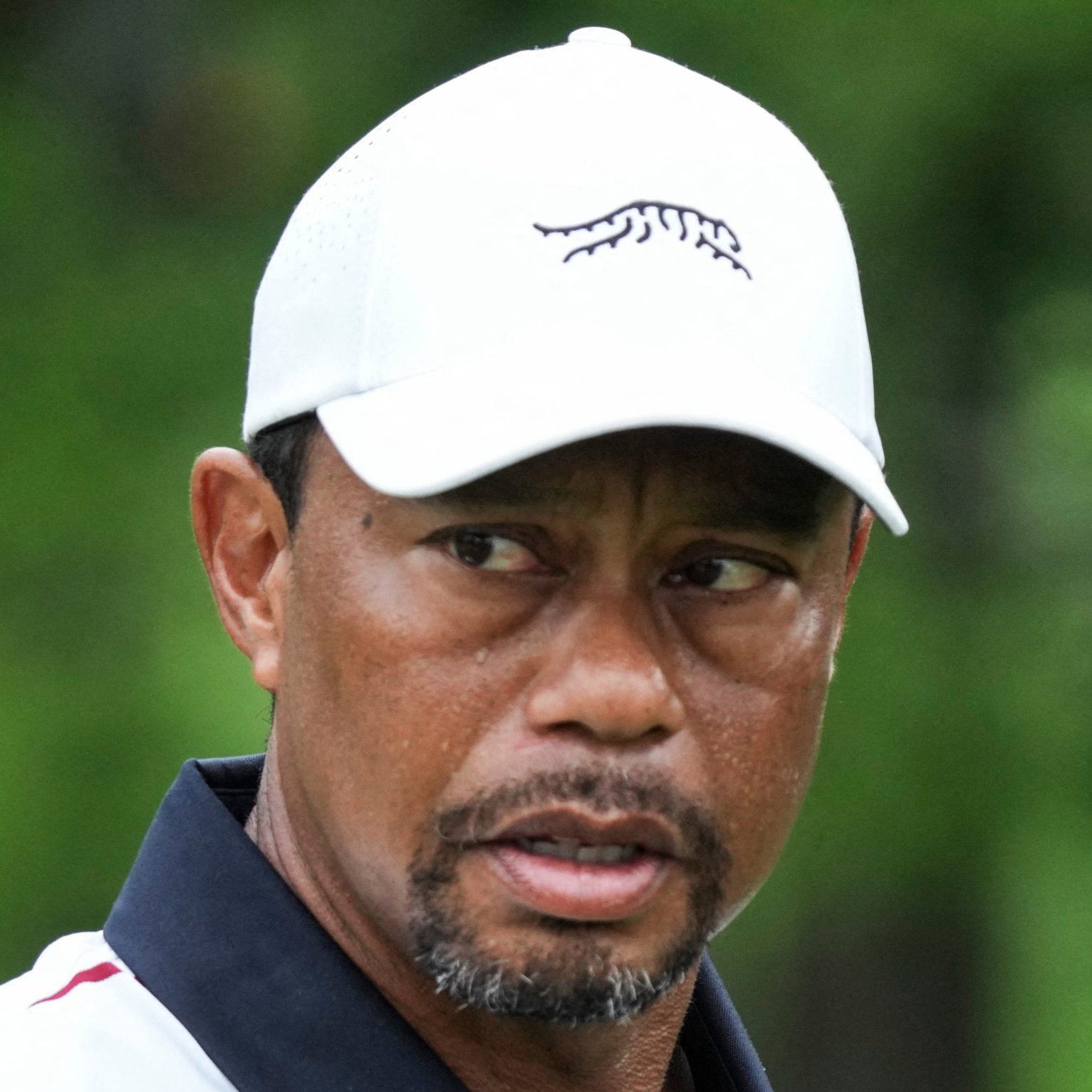 Tiger Woods