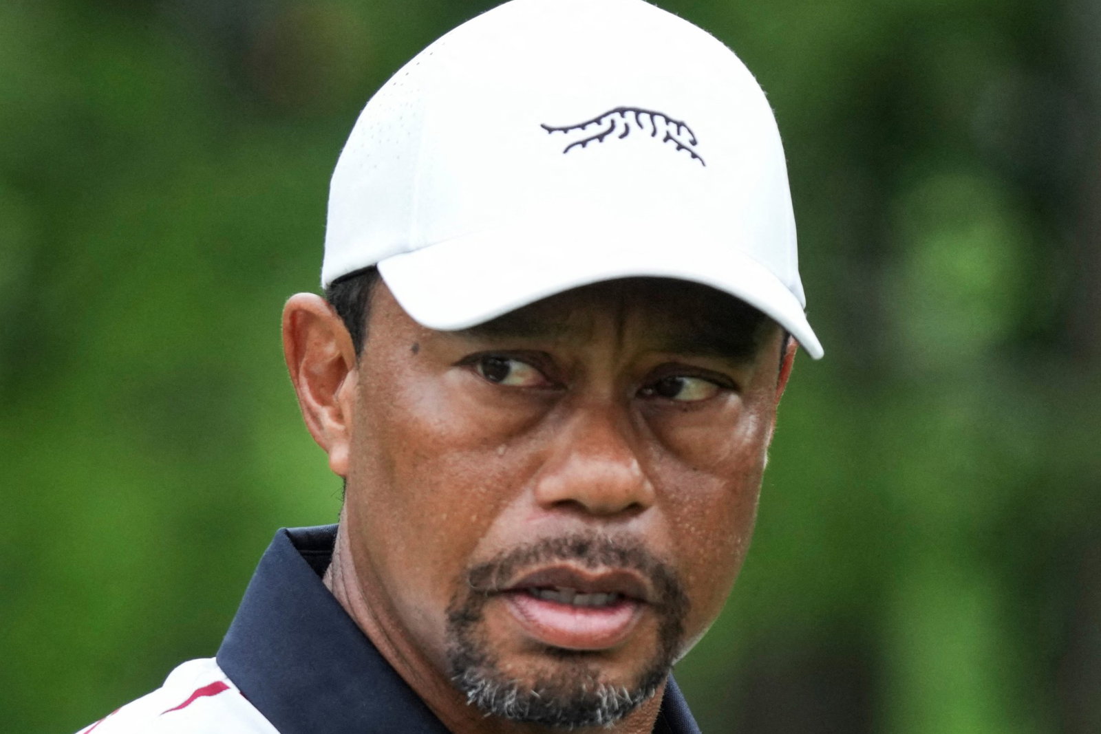 Tiger Woods