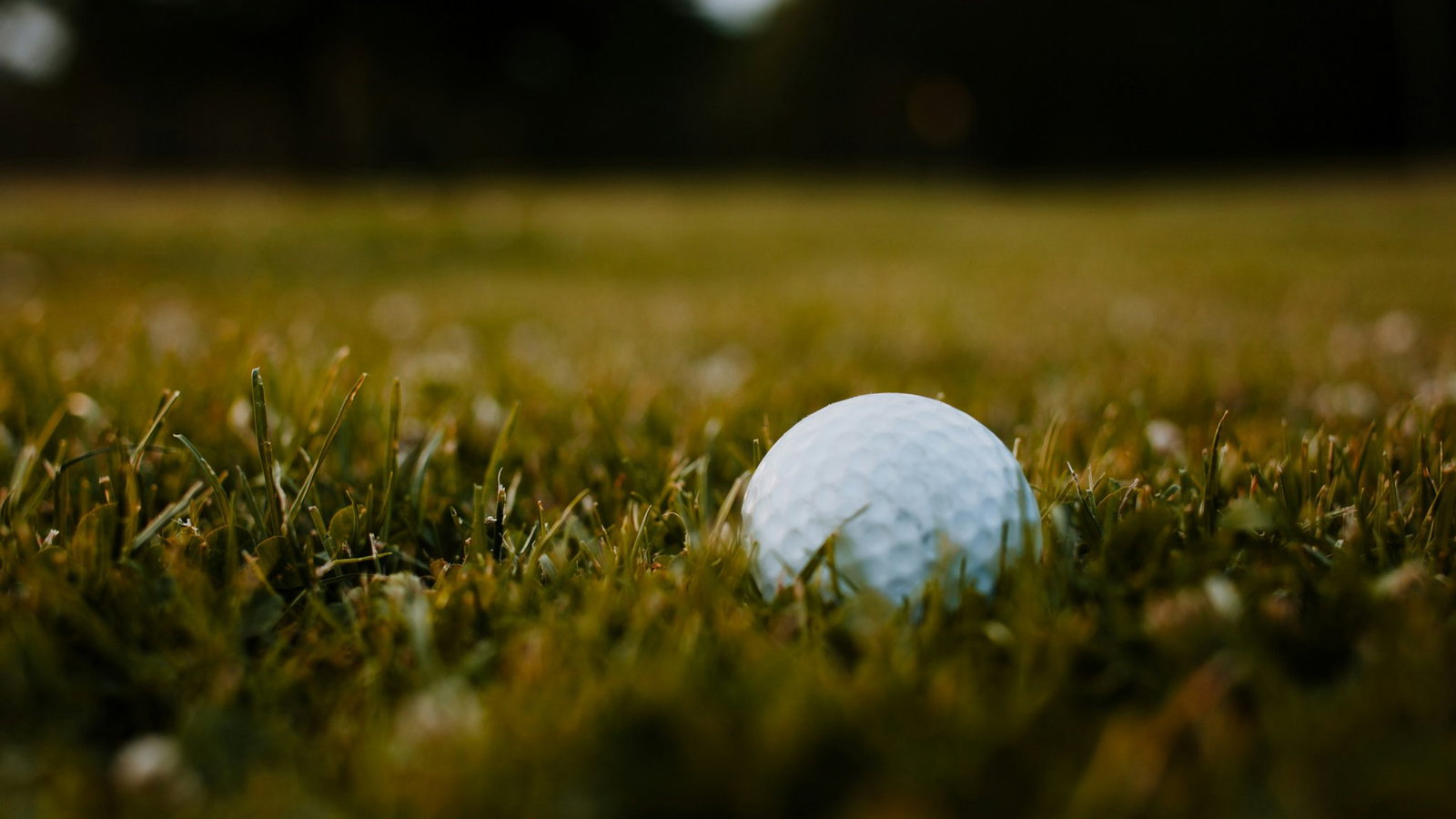 Golfer banned for five years over cheating allegation