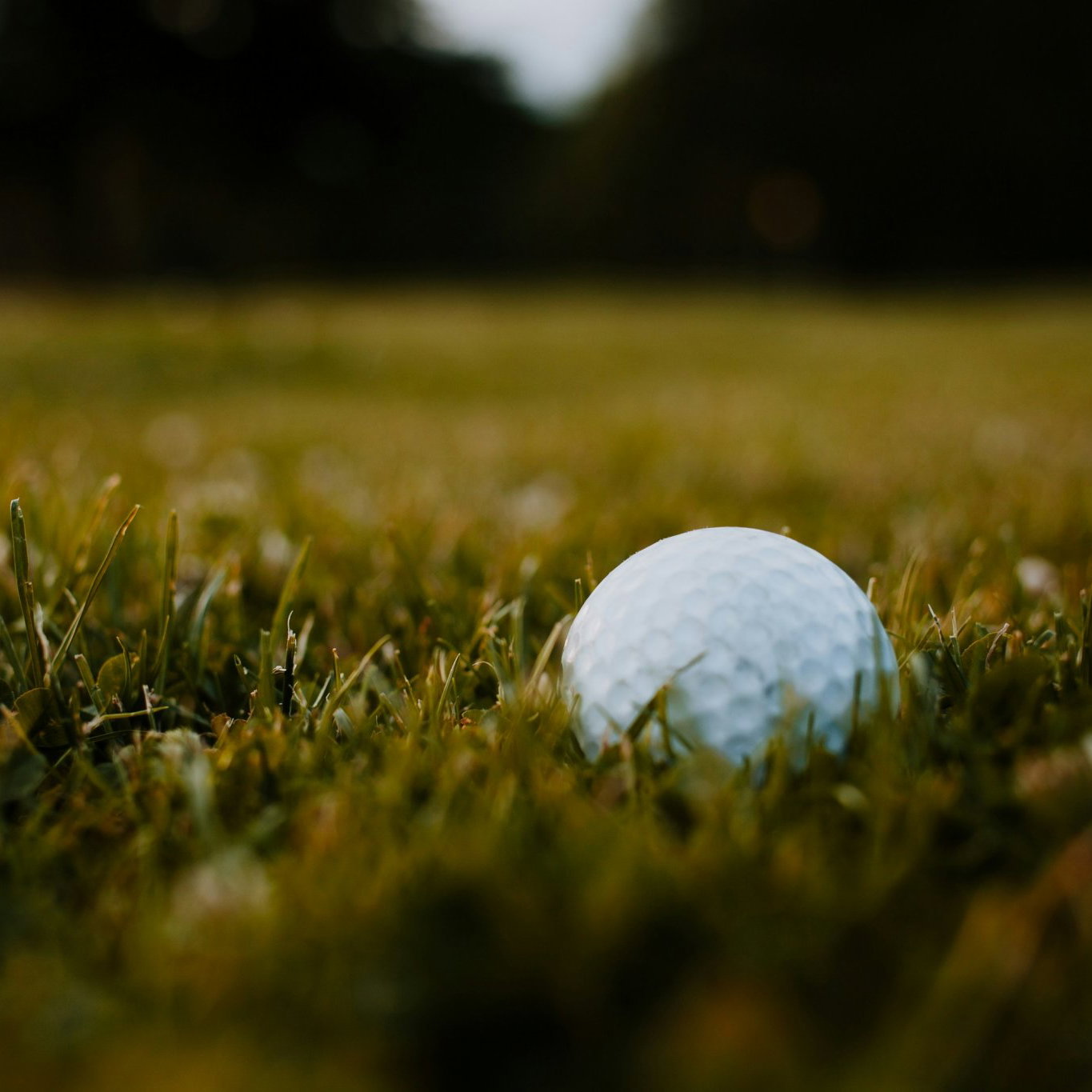 Golfer banned for five years over cheating allegation