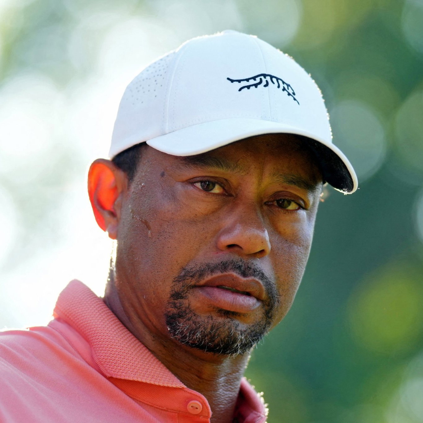 Tiger Woods