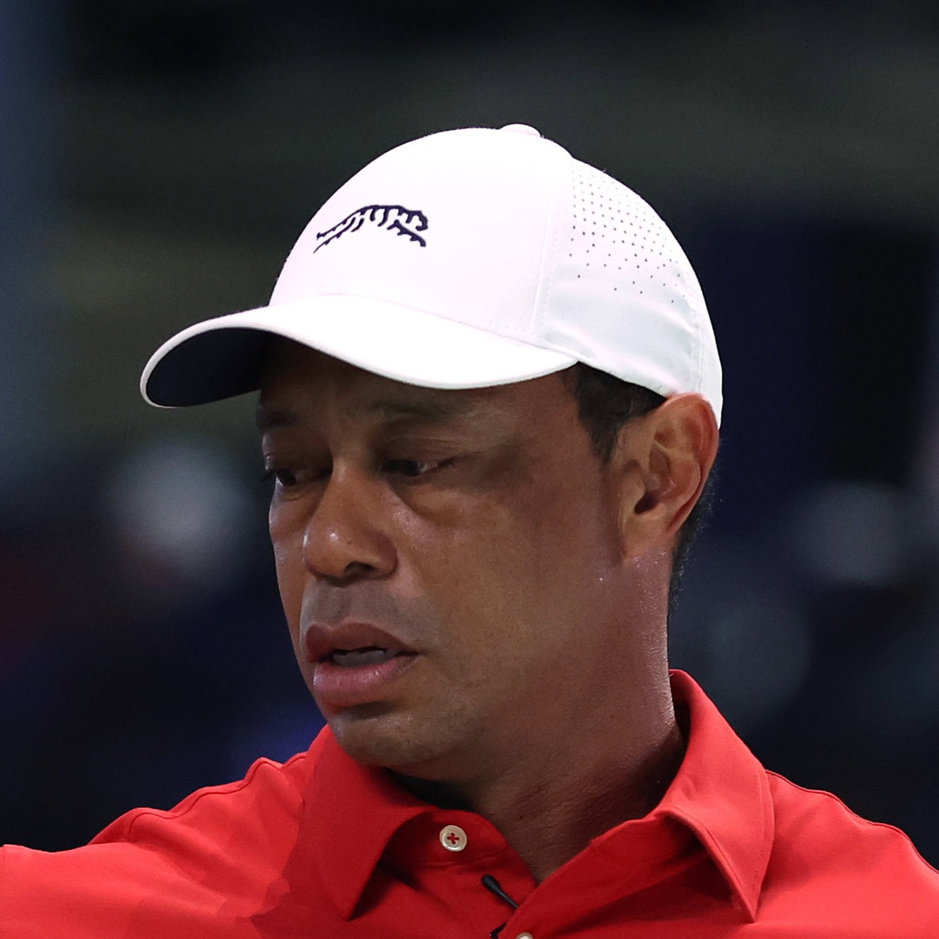 Tiger Woods