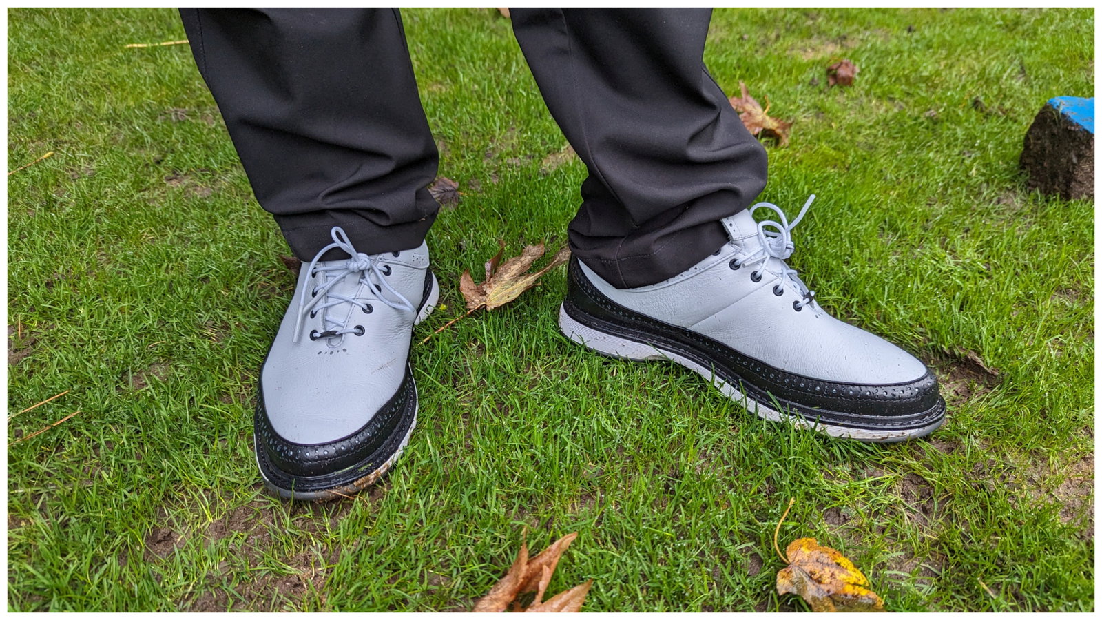 adidas MC80 Golf Shoes Review | Golfmagic