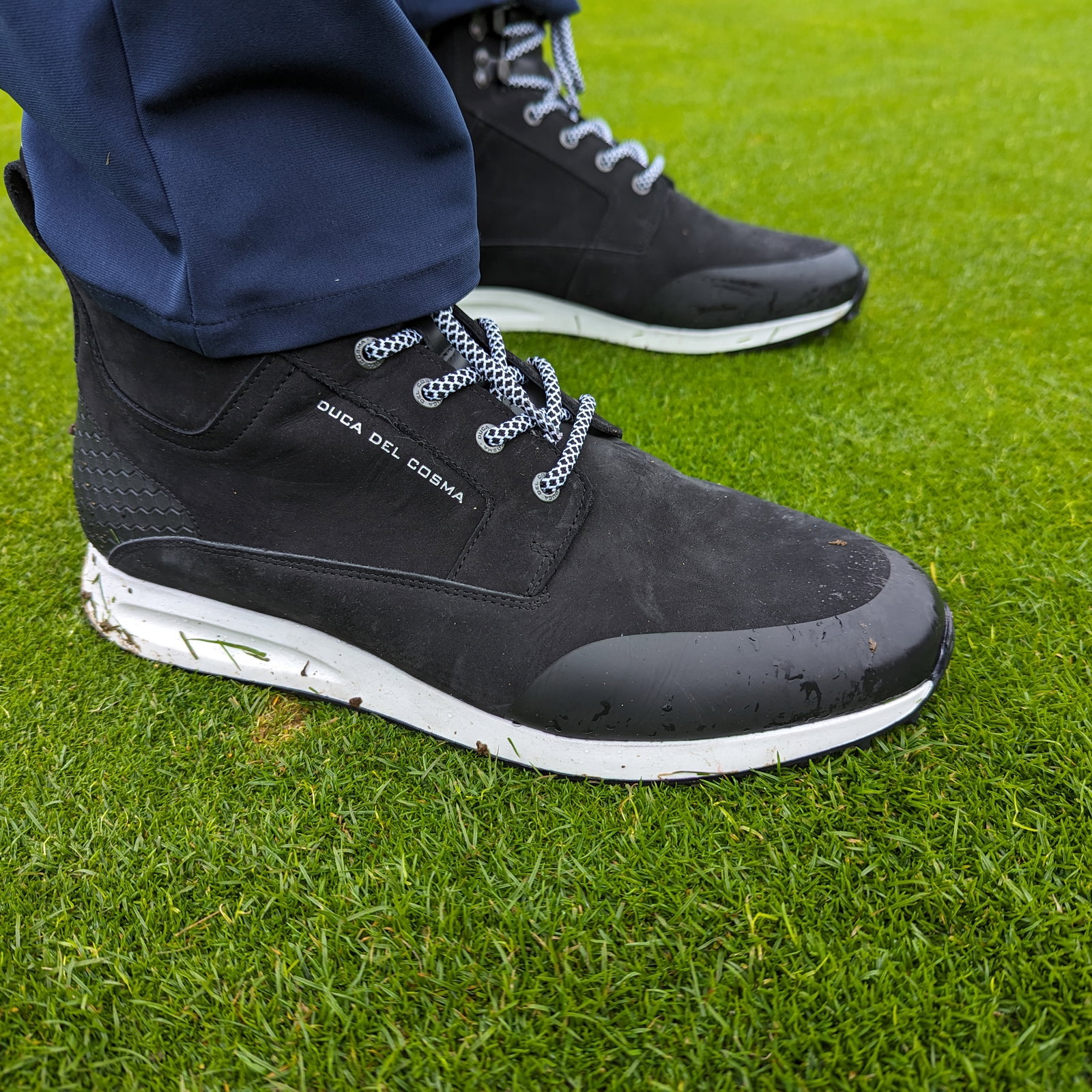Duca del Cosma Stanford