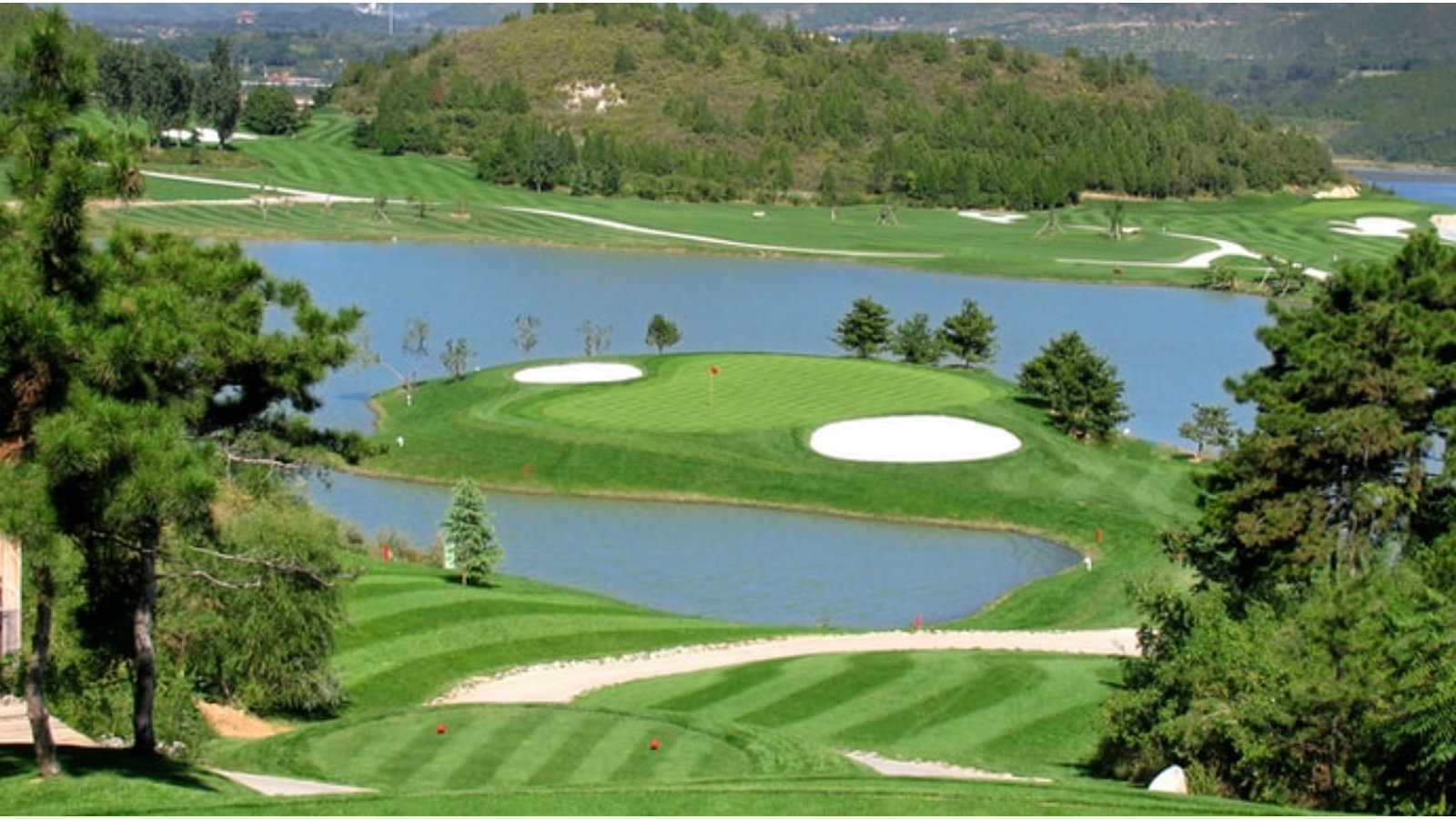 DAO claims it raised $10m selling NFTs & plans to buy golf course