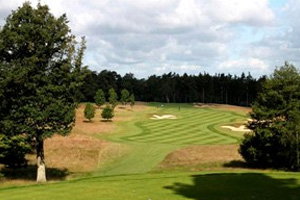 Beautifully contrasting Burhill