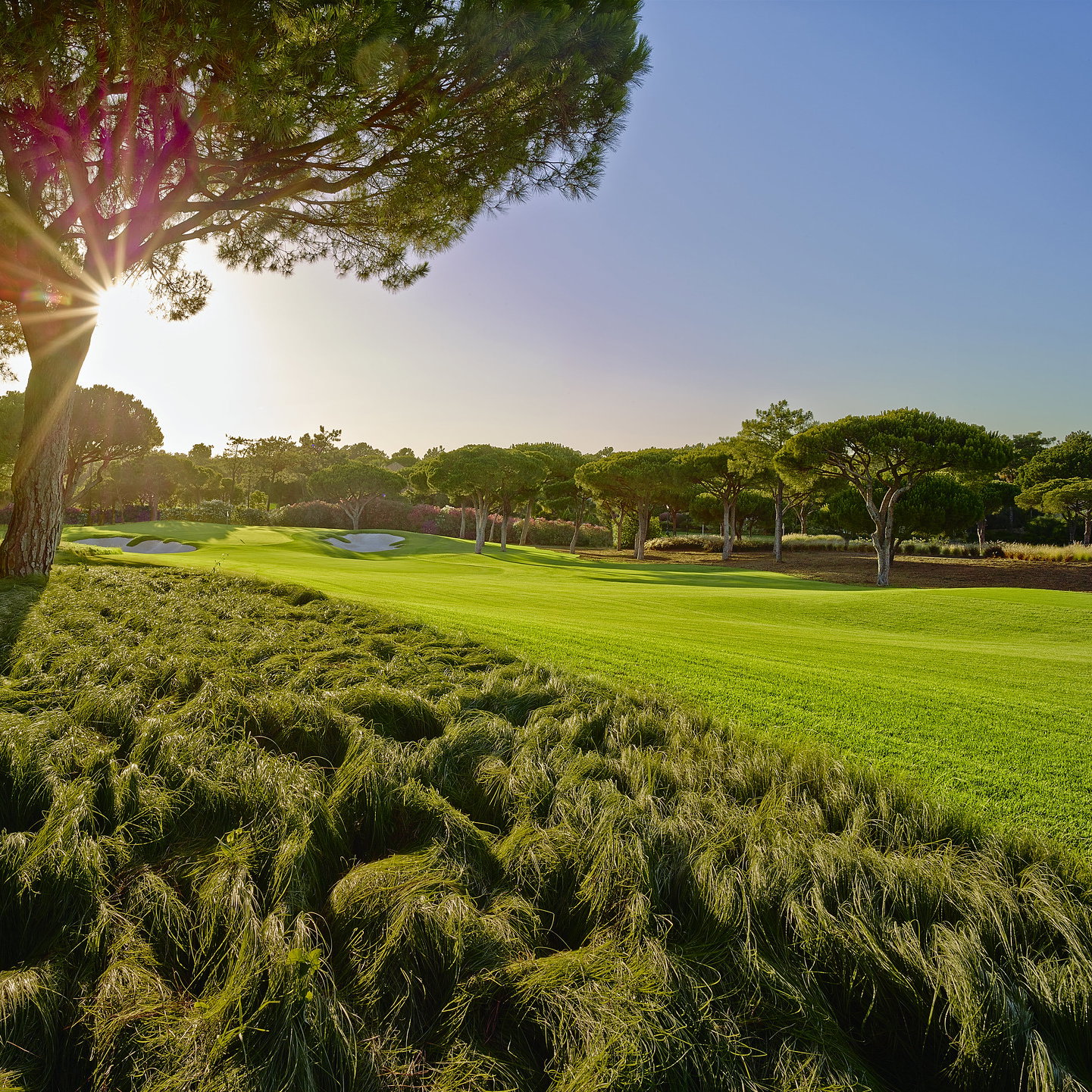 Quinta do Lago eco-blueprint shines light to path after lockdown
