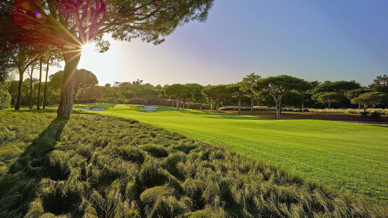 Quinta do Lago eco-blueprint shines light to path after lockdown