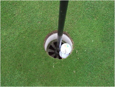 Sentimental trophies destroyed in Sussex