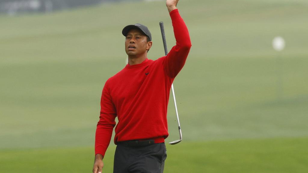 Lawyer given a ticking off after using Tiger Woods analogy in COURT
